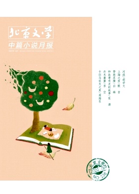 北京文学(中篇小说月报)封面